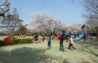 アクアパルコ洛西