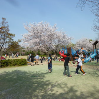 アクアパルコ洛西