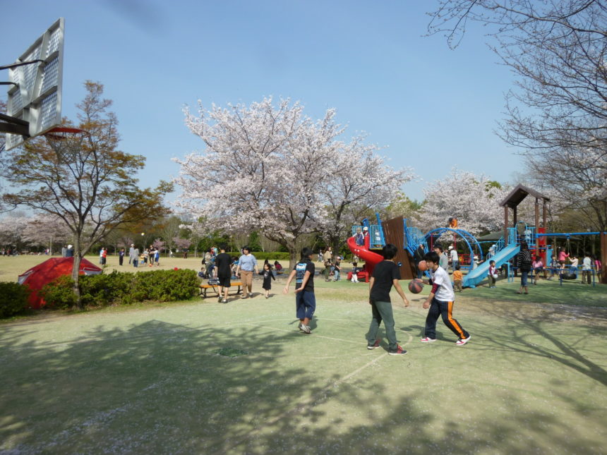 アクアパルコ洛西