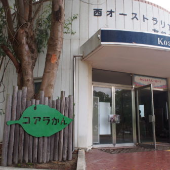 イングランドの丘のコアラ館